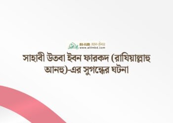 রাজনীতি ও সমসাময়িক ঘটনাবলী: জ্ঞান, দায়িত্ব ও ওহীর আলো